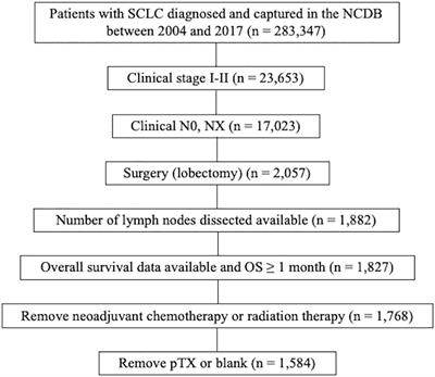 Clinical impact of number of lymph nodes dissected on postoperative survival in node-negative small cell lung cancer